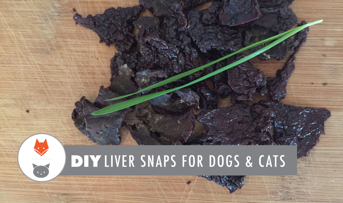 DIY Liver Snaps for Dogs & Cats
