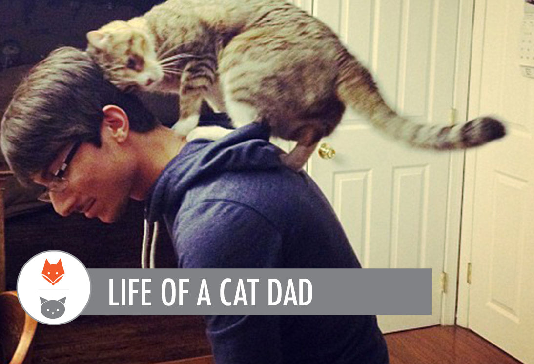 Life of A Cat Dad