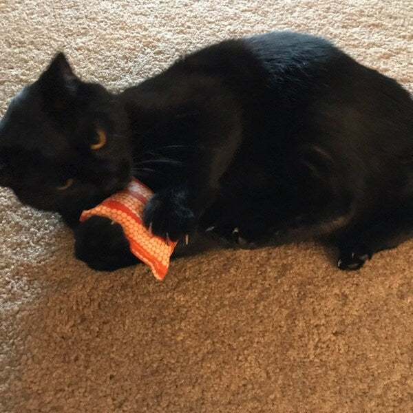 Organic 'Nip Pillows