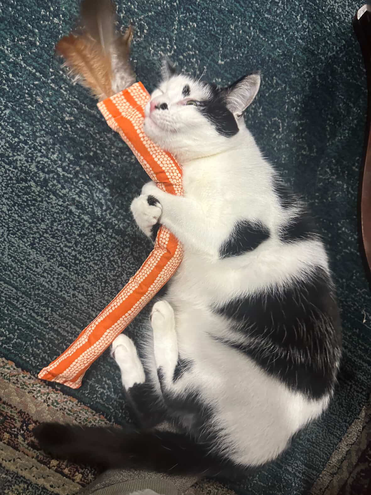 Jumbo 'Nip Kicker - Organic Feathered Catnip Kicker