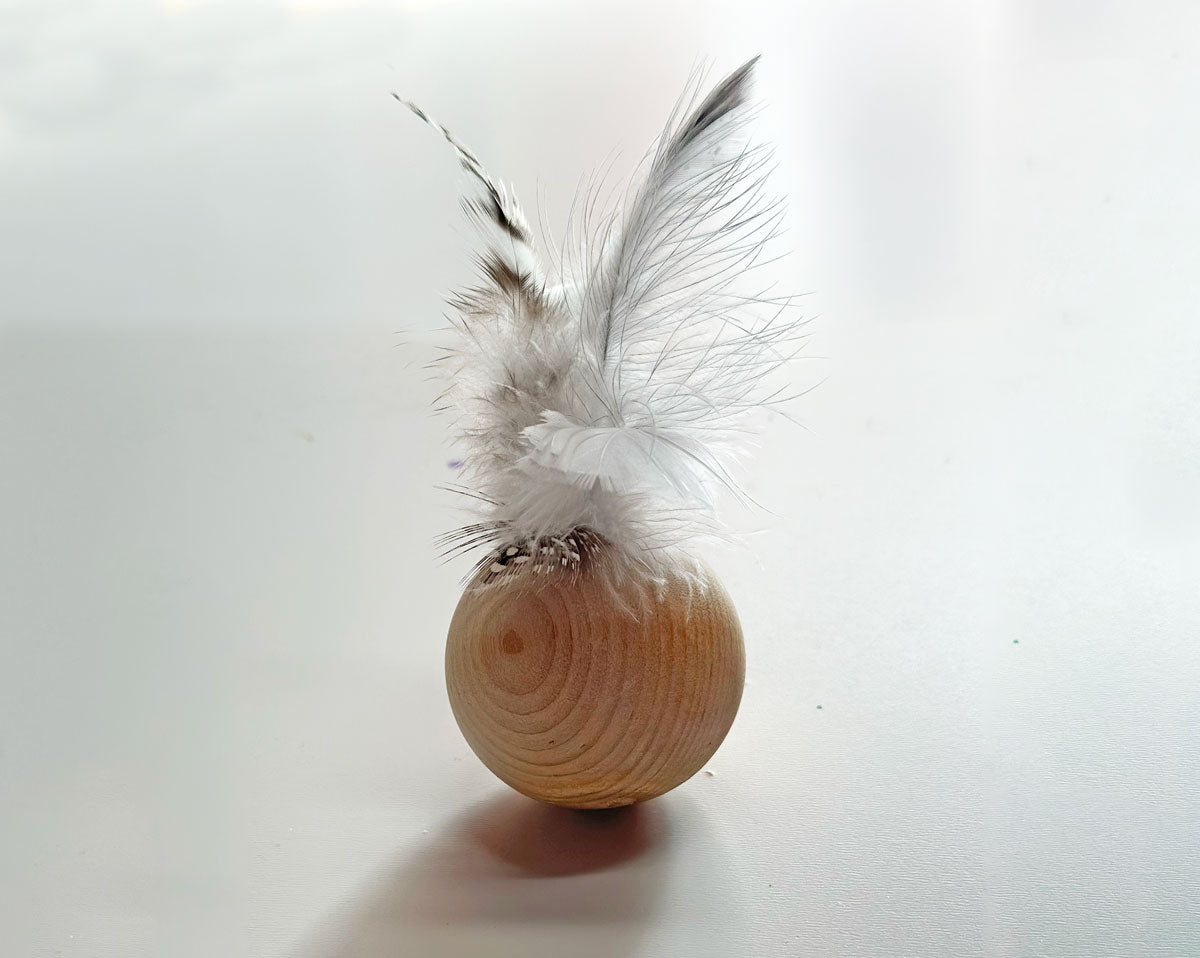 Birdy Ball