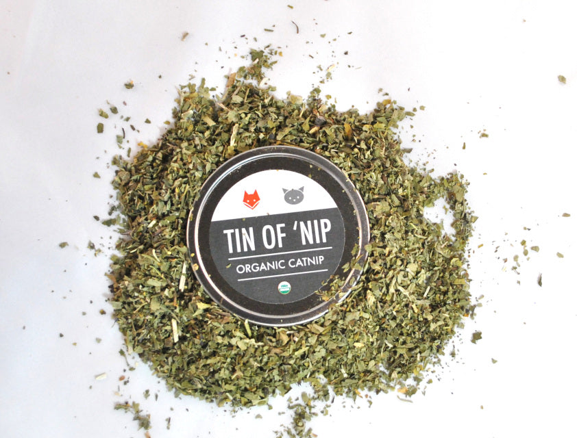 Tin of 'Nip - Organic Catnip