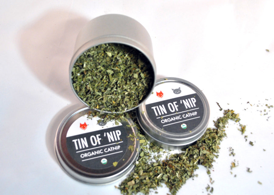 Tin of 'Nip - Organic Catnip