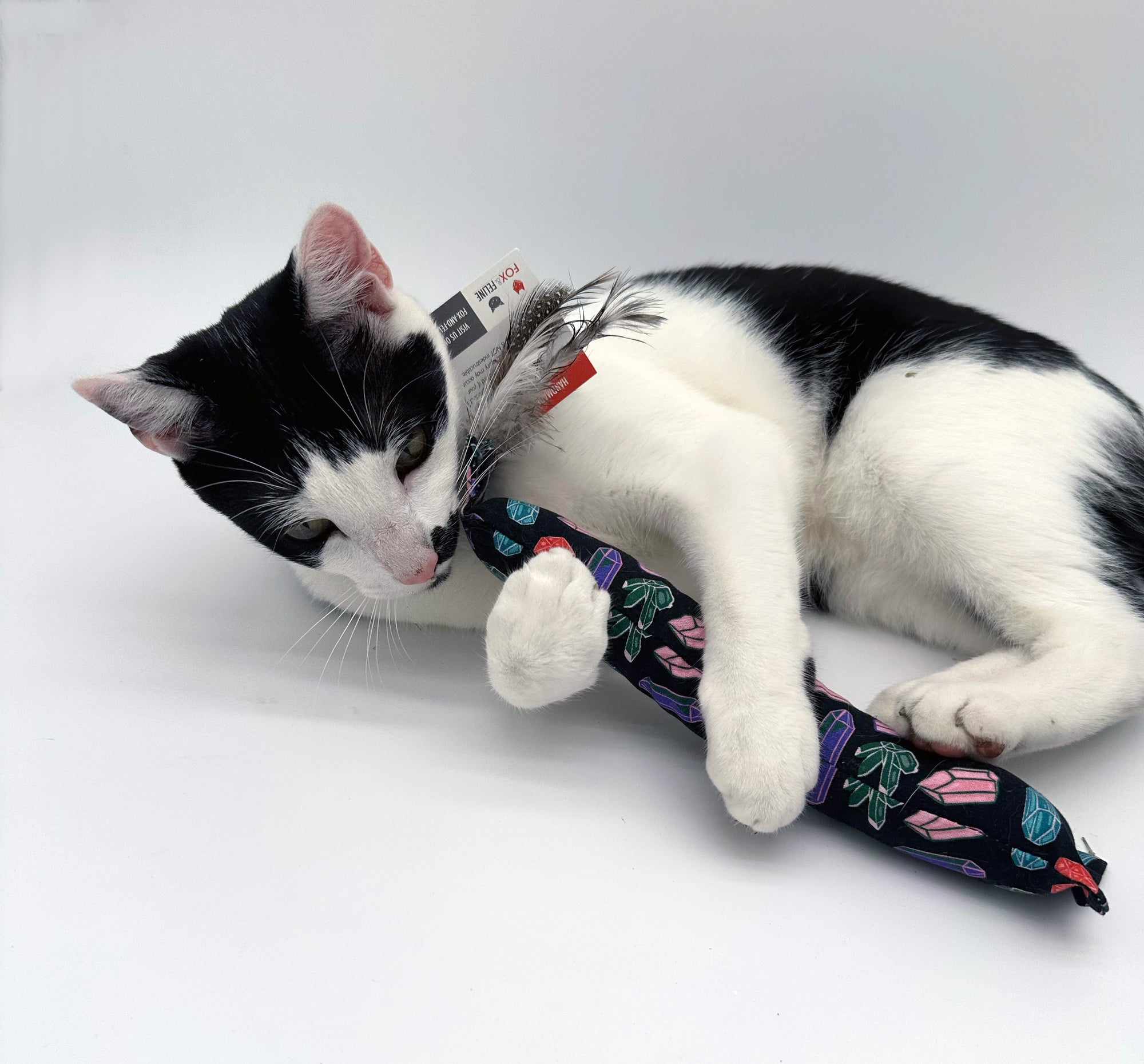 Large 'Nip Kicker - Organic Feathered Catnip Kicker