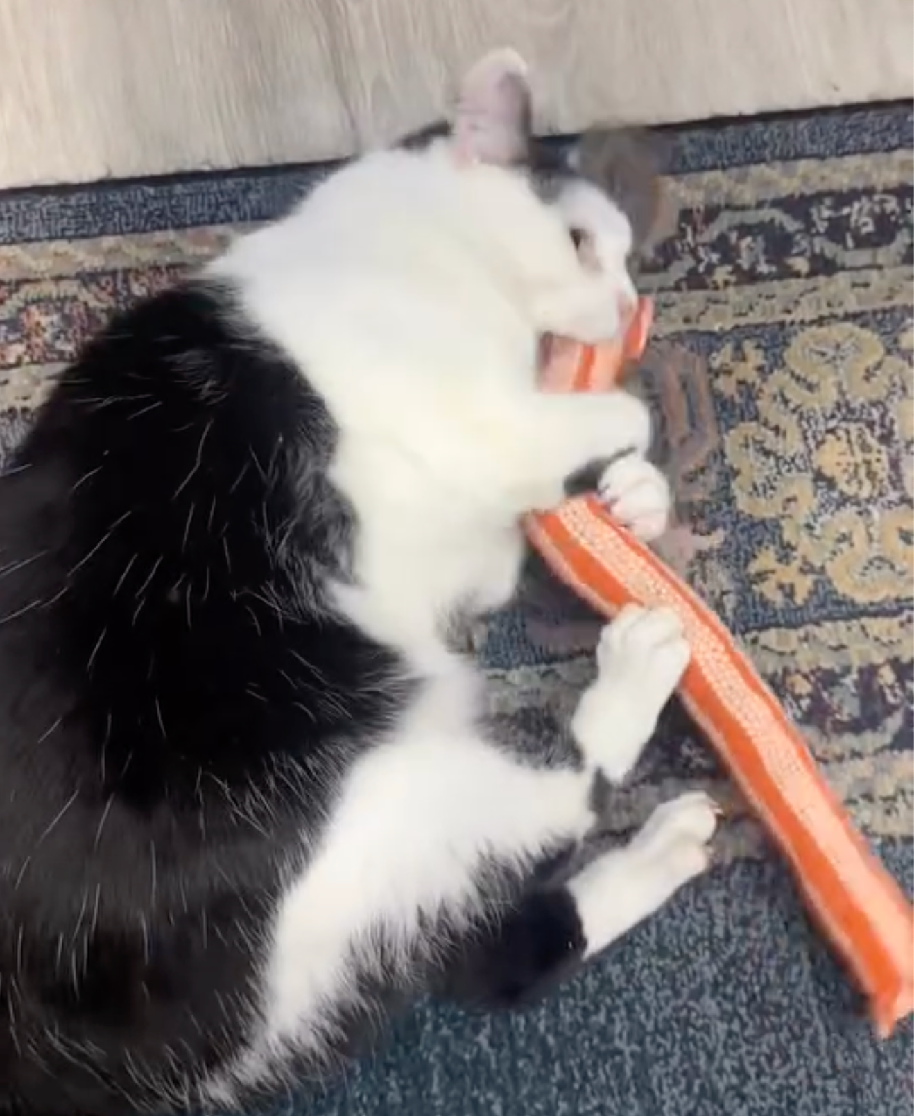 Jumbo 'Nip Kicker - Organic Feathered Catnip Kicker