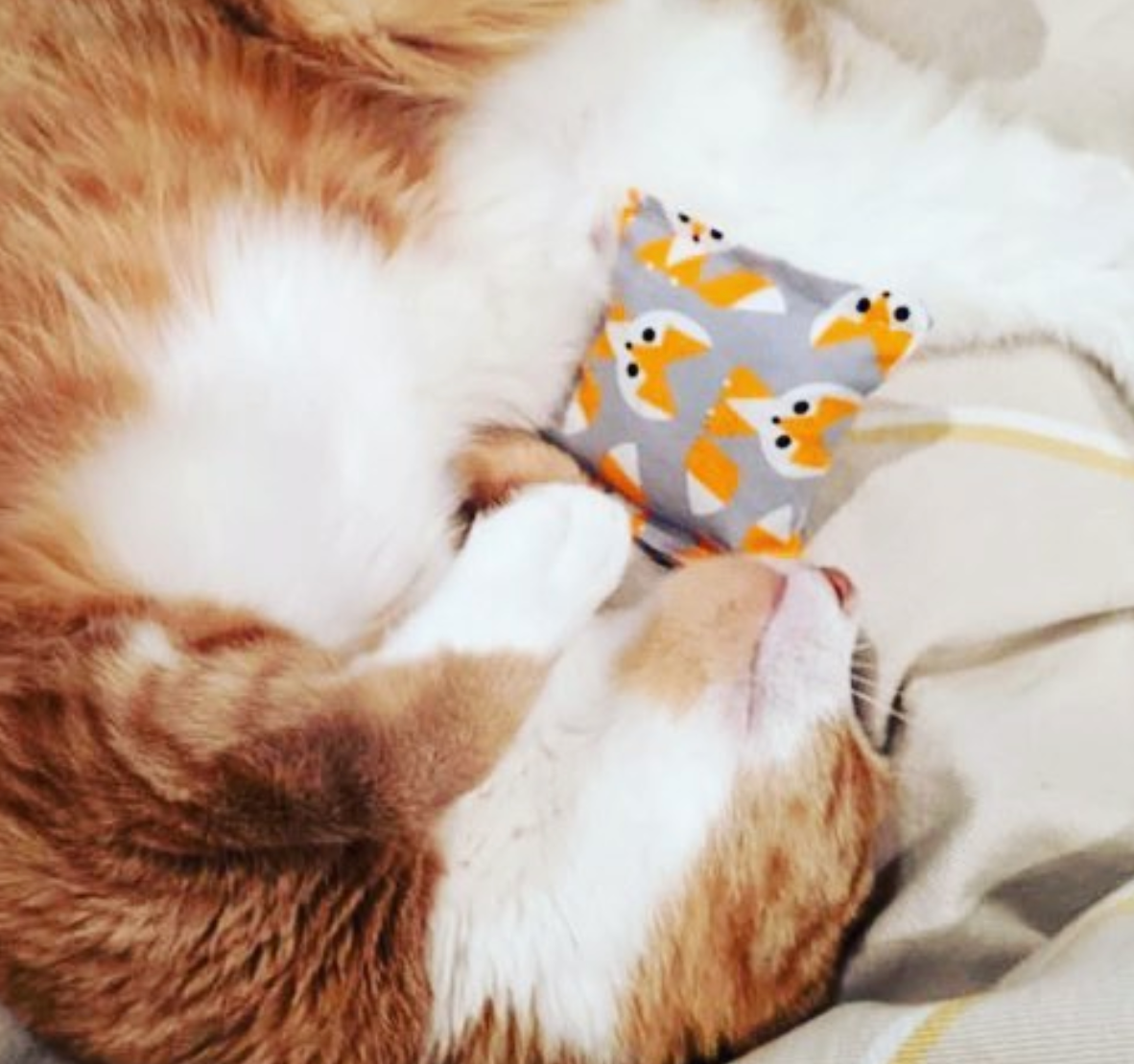 Bit of 'Nip - Organic Cotton Cat Pocket Pillow