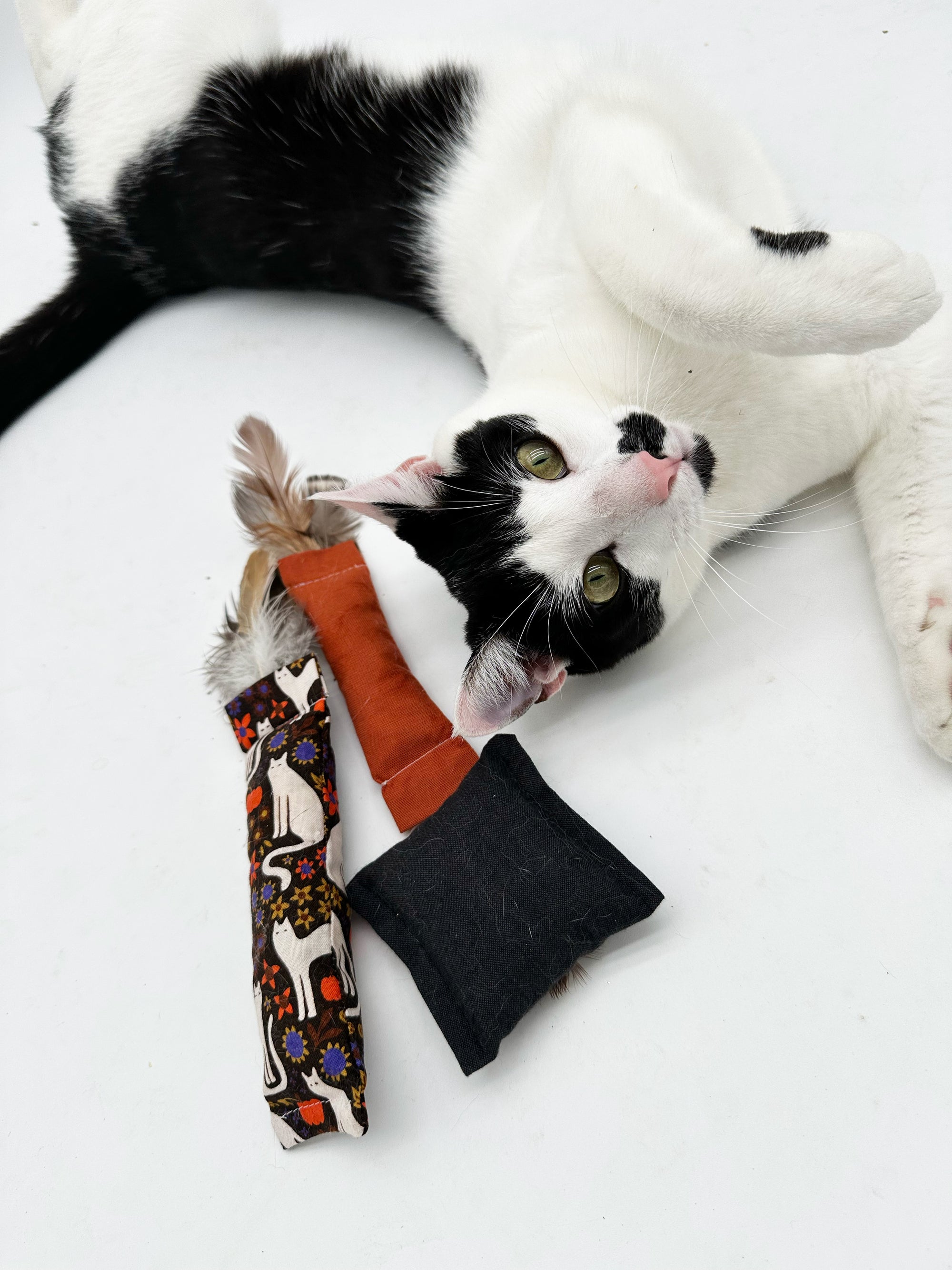 Cat-umn Harvest Gift Set
