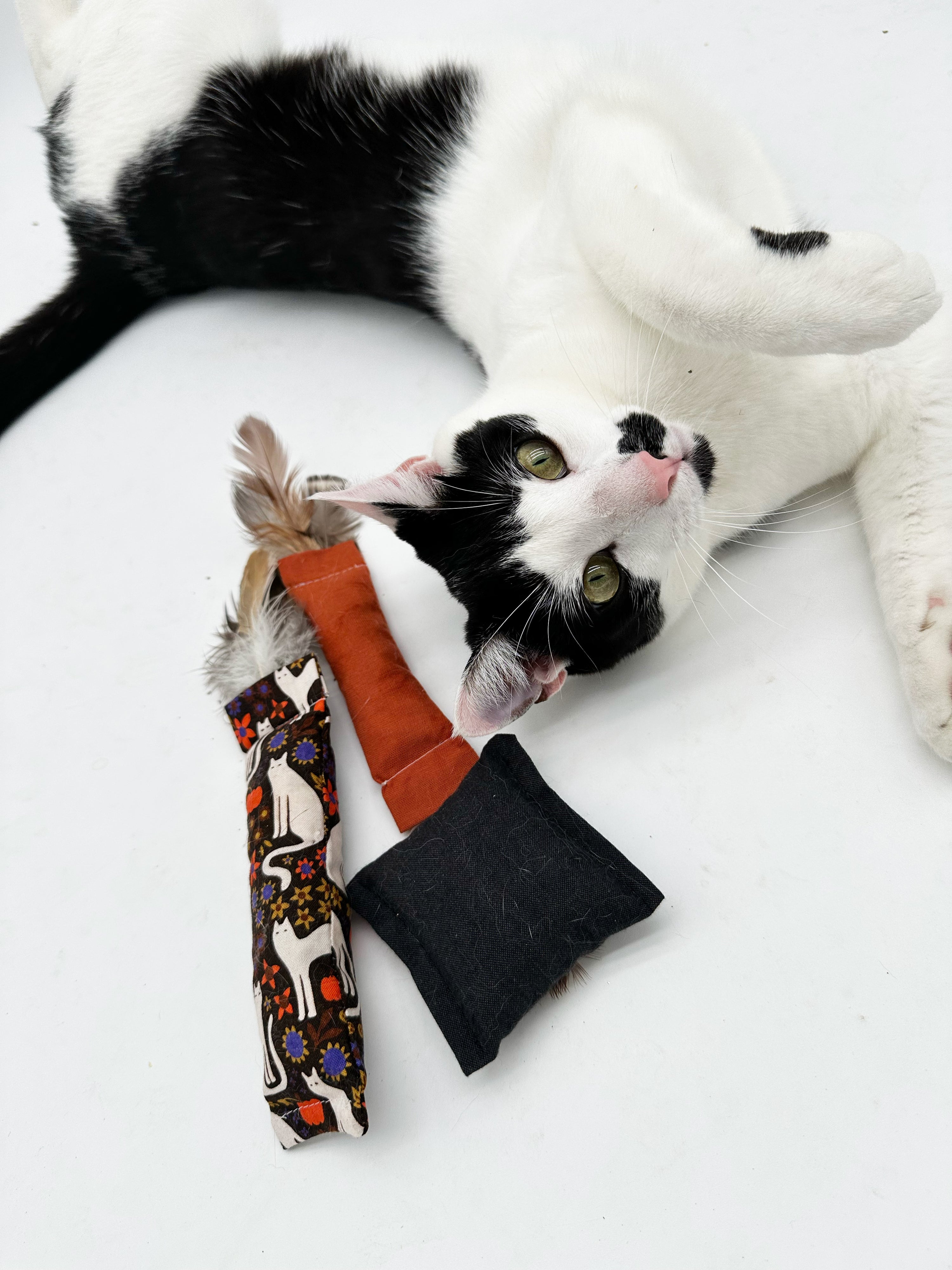 Cat-umn Harvest Gift Set