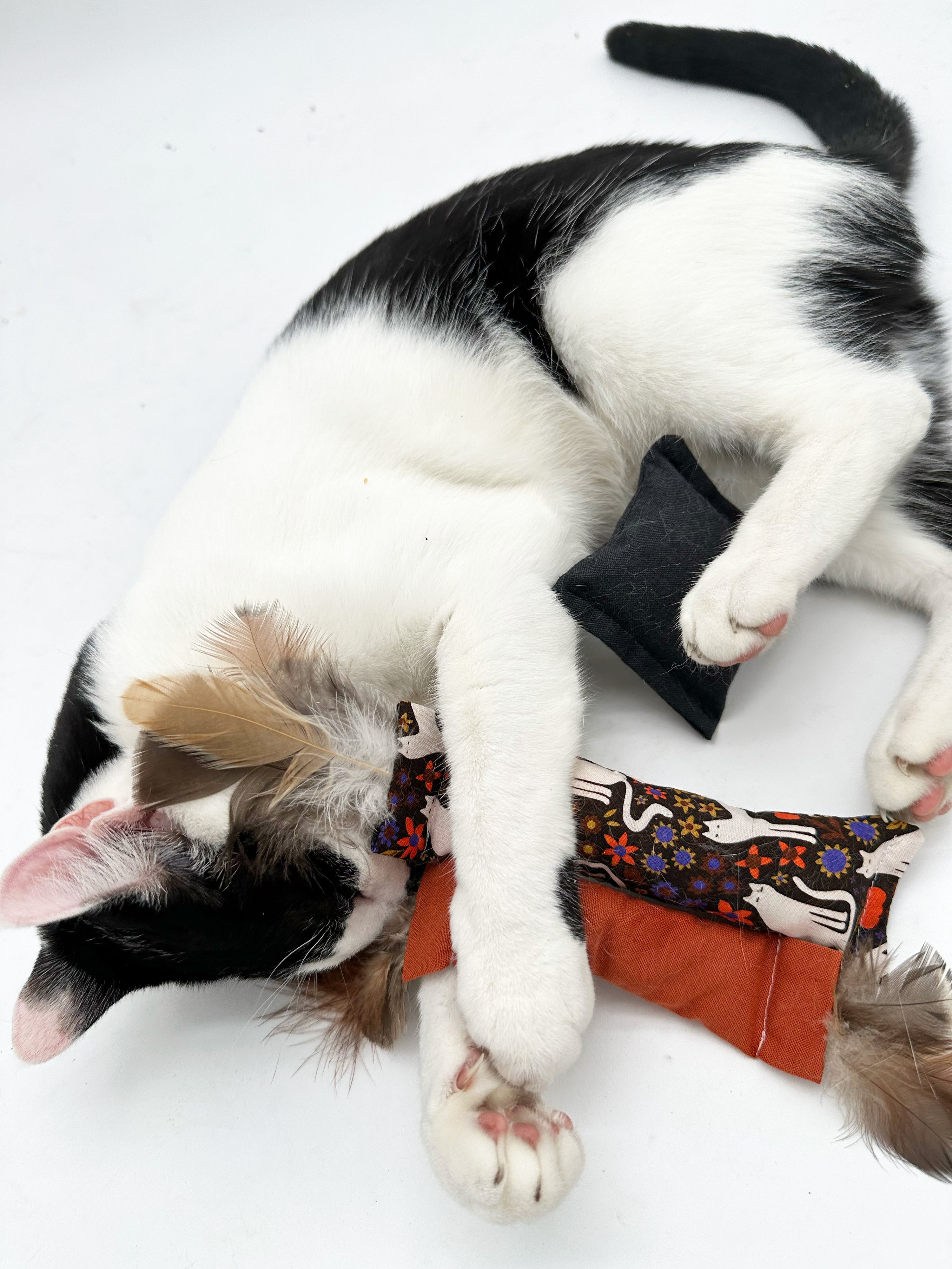 Cat-umn Harvest Gift Set