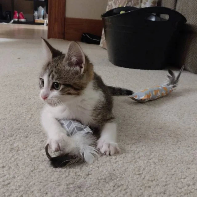 'Nip Kicker Original - Organic Feathered Catnip Kicker