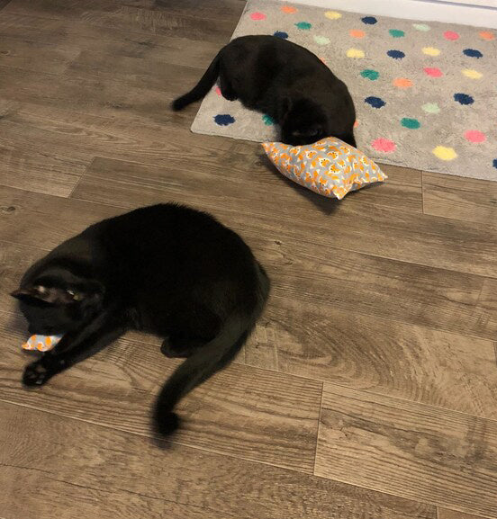 Lazy Feline - Large Organic Cotton Catnip Pillow